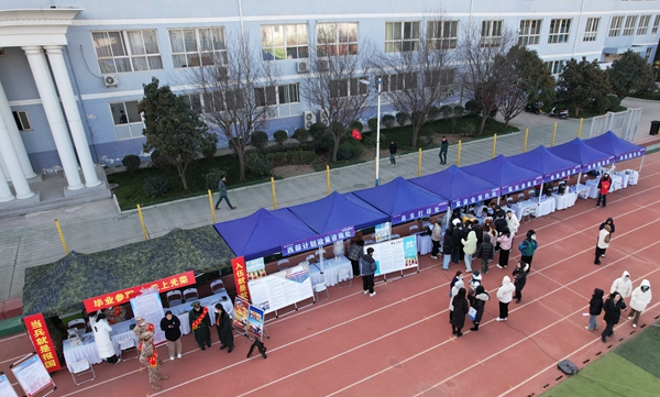 官网10.jpg